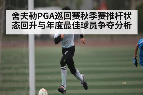 舍夫勒PGA巡回赛秋季赛推杆状态回升与年度最佳球员争夺分析